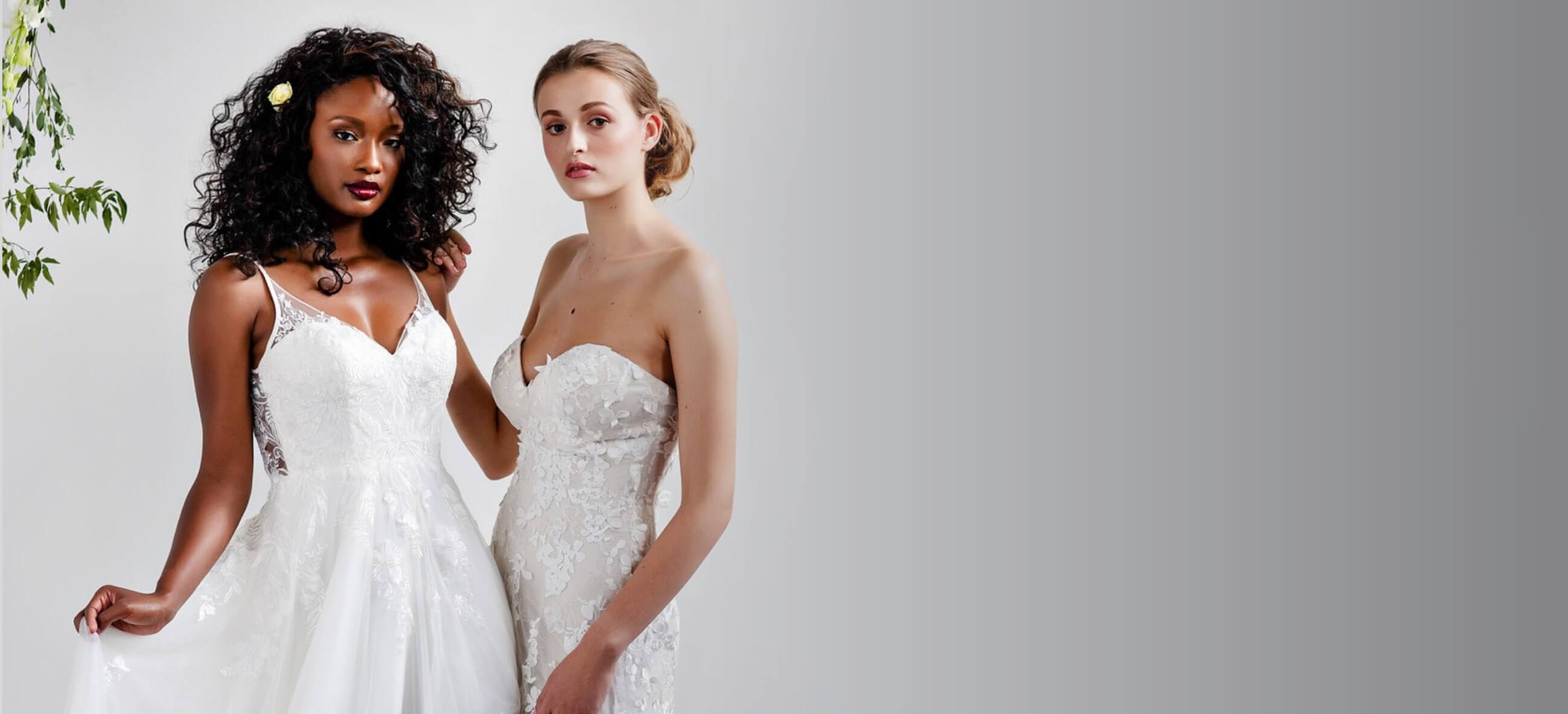 <span>Preview the</span><span>COLLECTION</span>