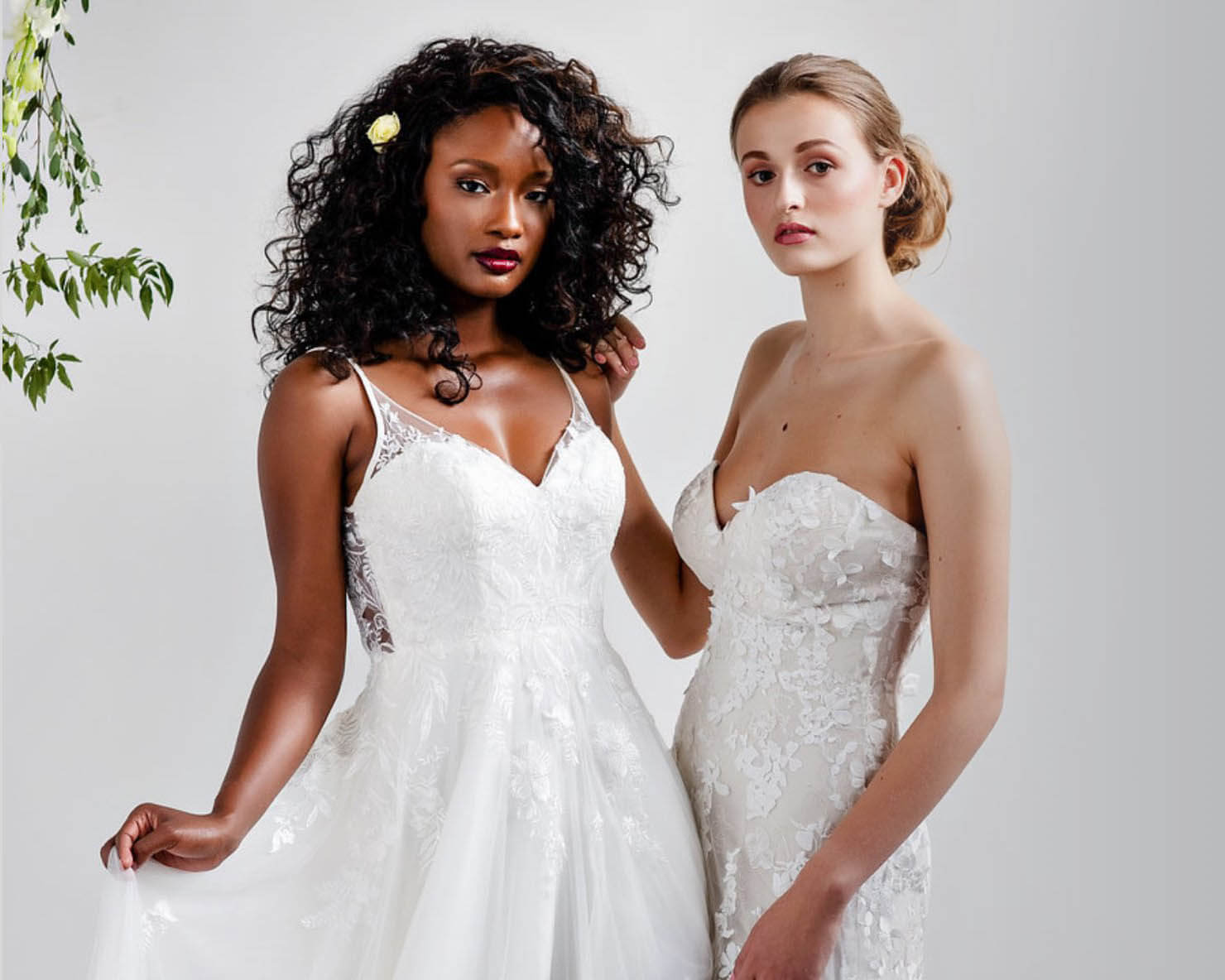 <span>Preview the</span><span>COLLECTION</span>
