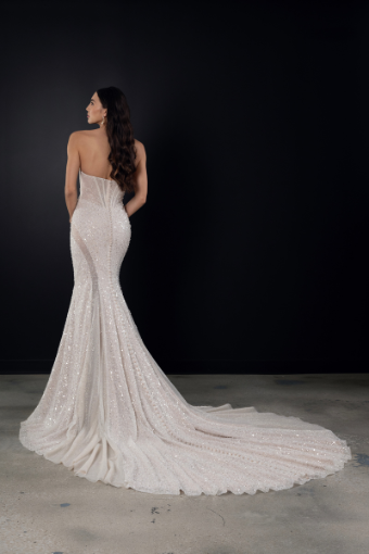 Here & Now Style #1751 #1 (IVIV-PL) Ivory Lace and Tulle over Ivory Gown w Porcelain Tulle Plunge thumbnail