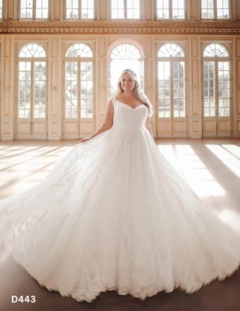 Here & Now Style #D443 - Cinderella (25) #0 default Platinum thumbnail