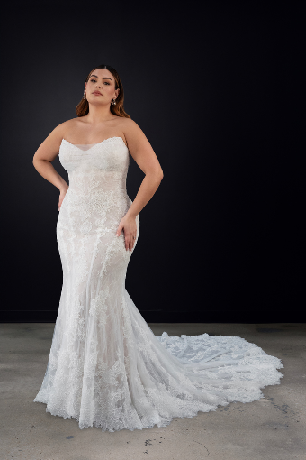 Here & Now Style #1752 (Bodice Unlined & Sleeves) #3 (IV-IVR) Ivory Lace and Tulle over Ivory Gown thumbnail